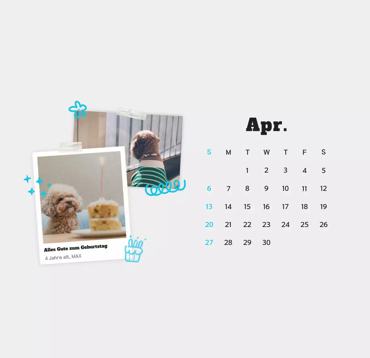 Weißer sauberer Haustier-Fotokalender