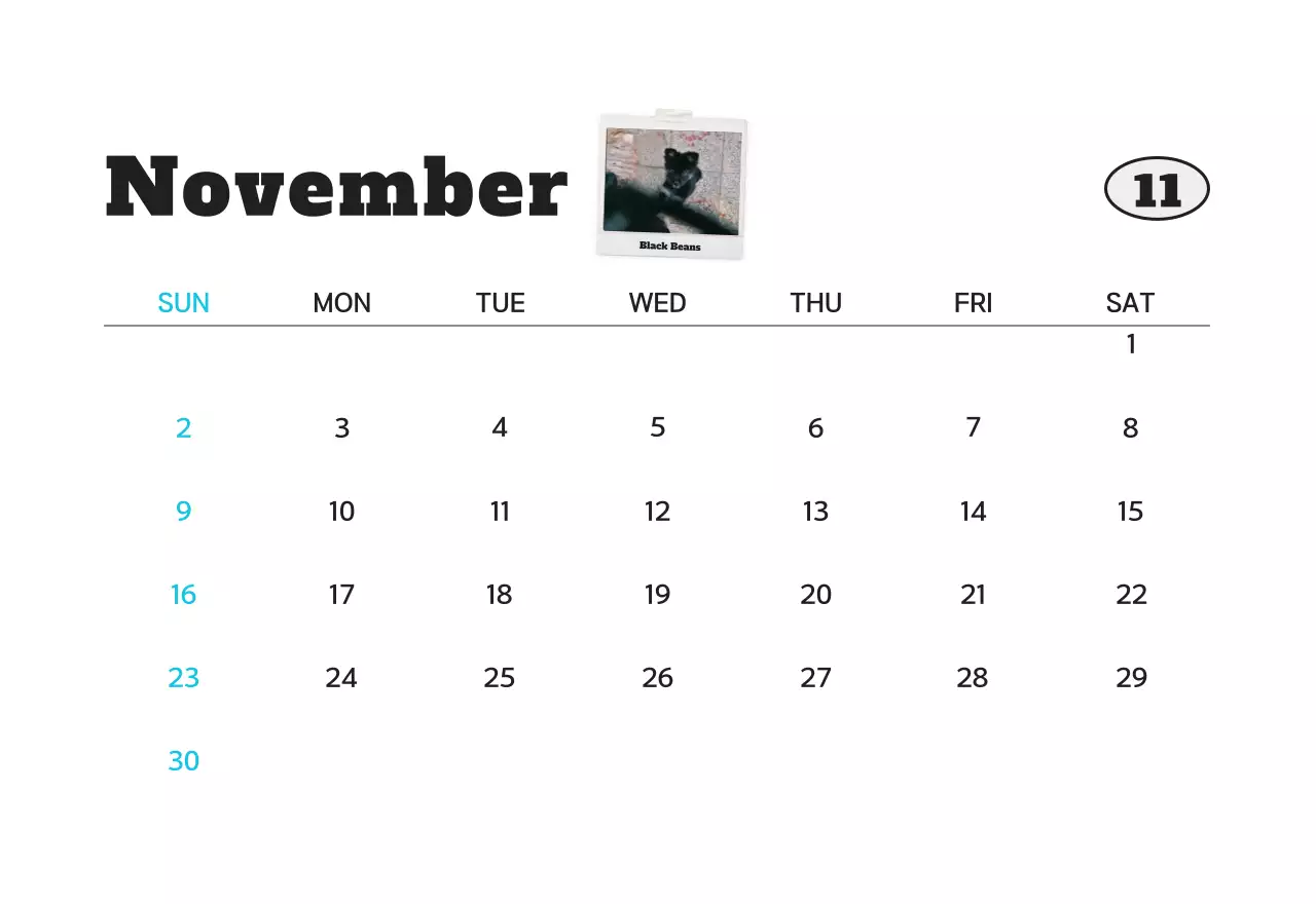 Kalender foto hewan peliharaan putih bersih