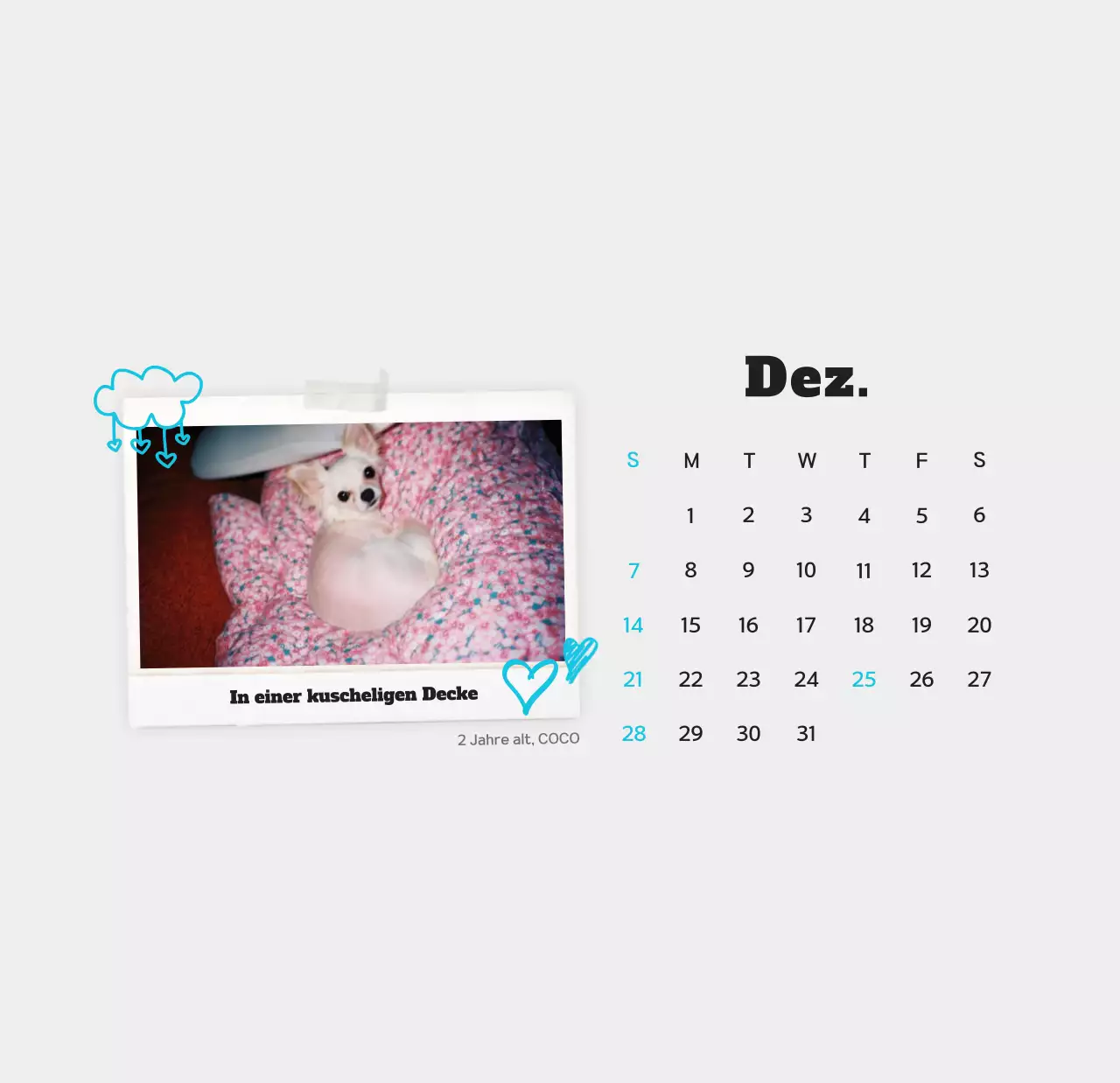 Weißer sauberer Haustier-Fotokalender