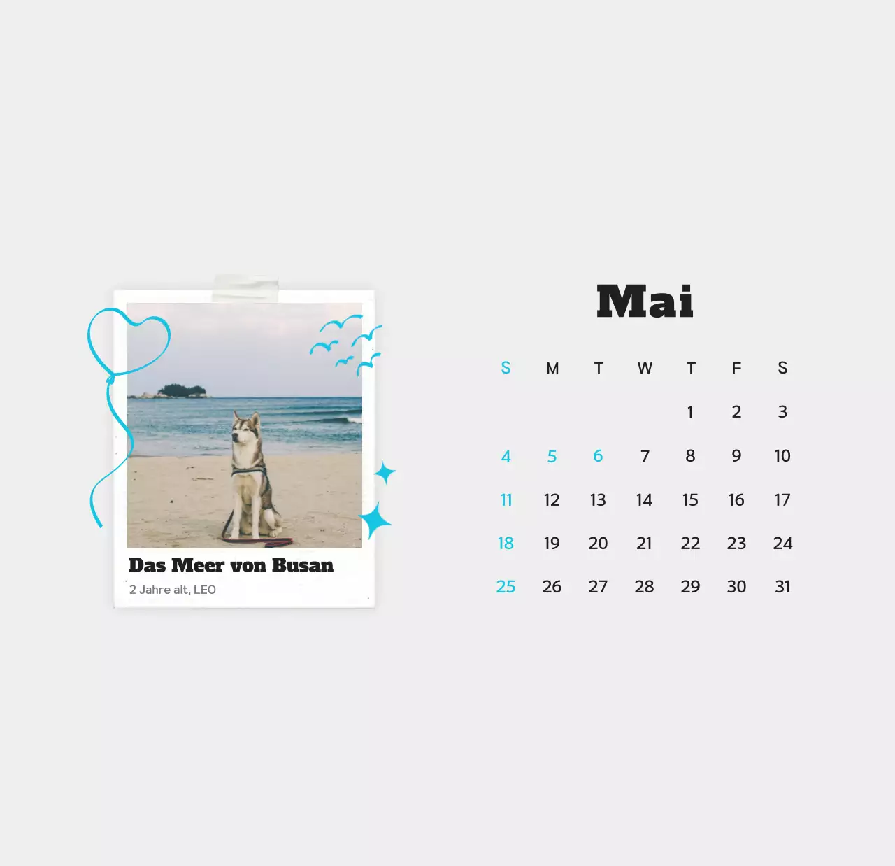 Weißer sauberer Haustier-Fotokalender