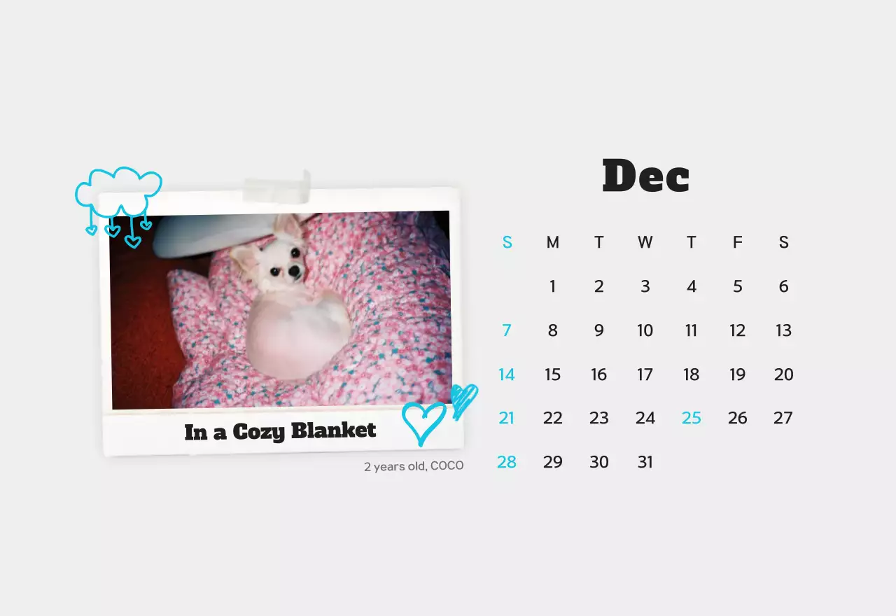 Kalender foto hewan peliharaan putih bersih