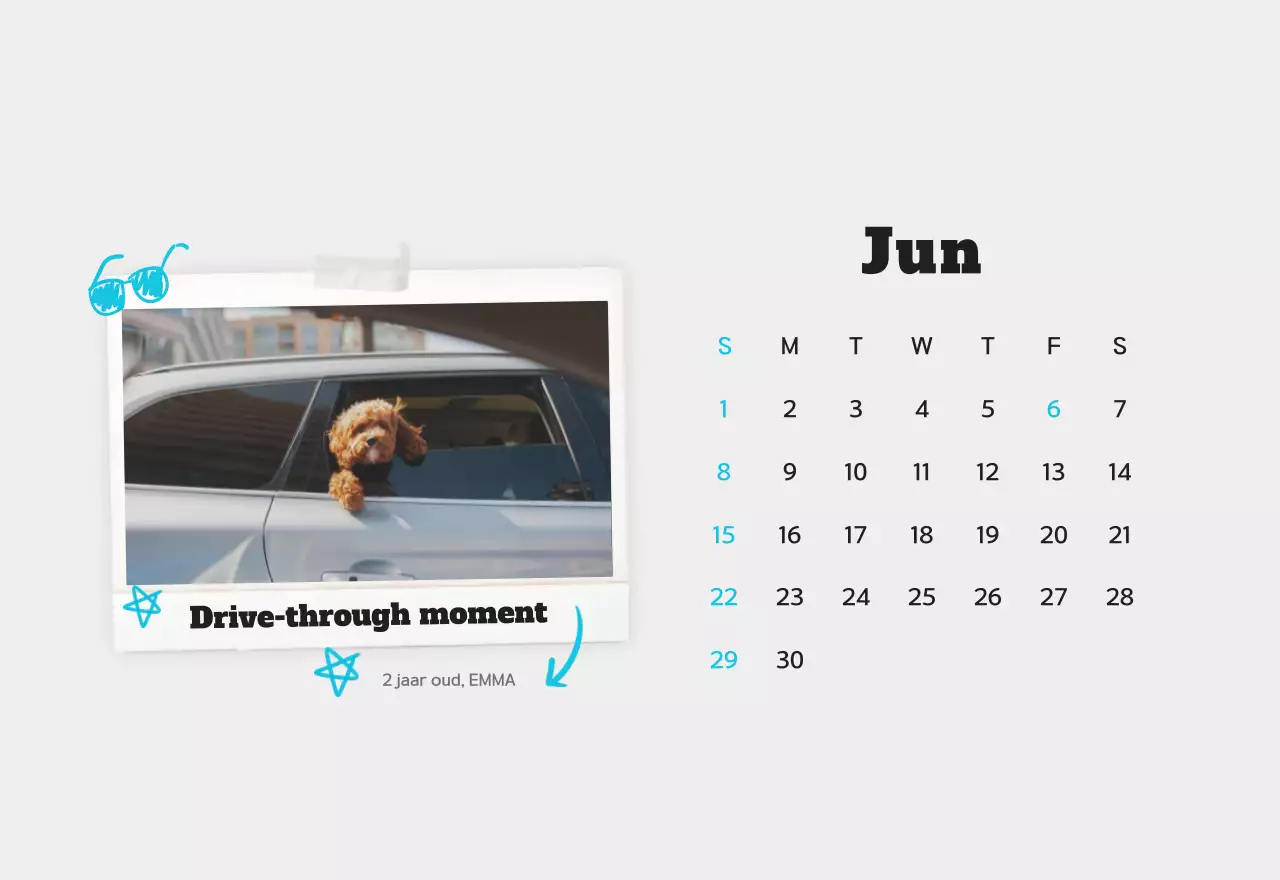 Witte schone fotokalender voor huisdieren