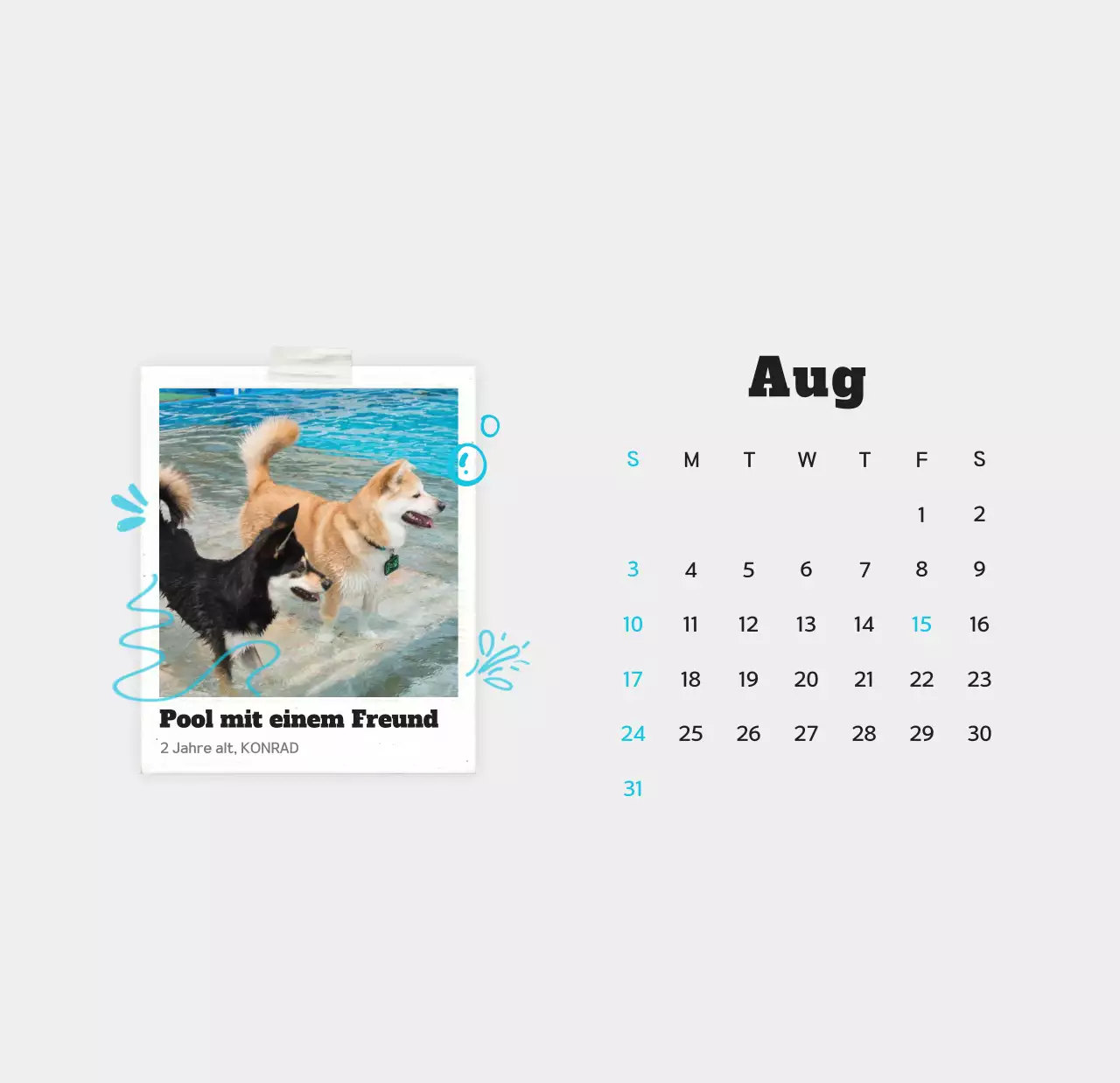 Weißer sauberer Haustier-Fotokalender