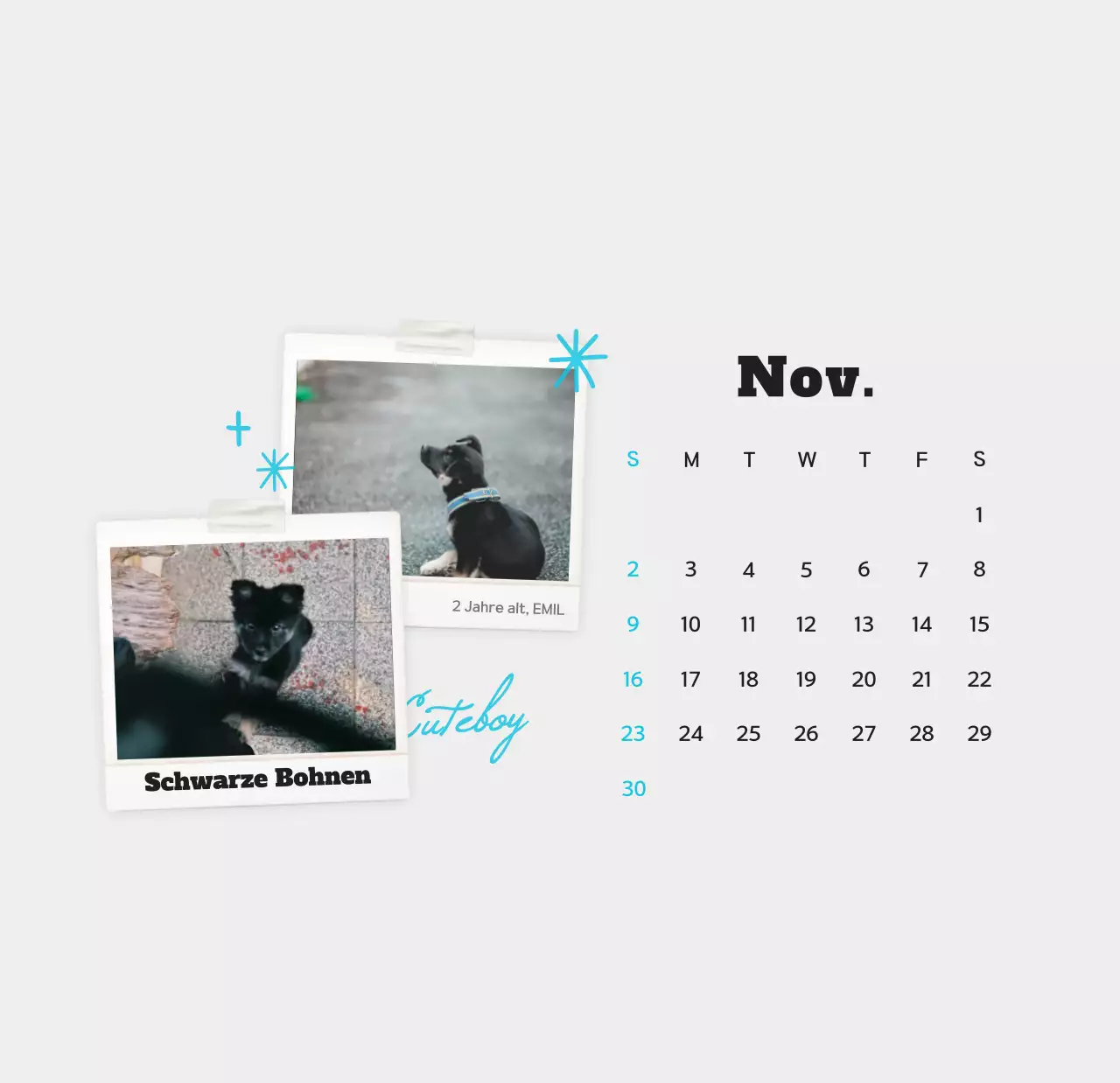 Weißer sauberer Haustier-Fotokalender