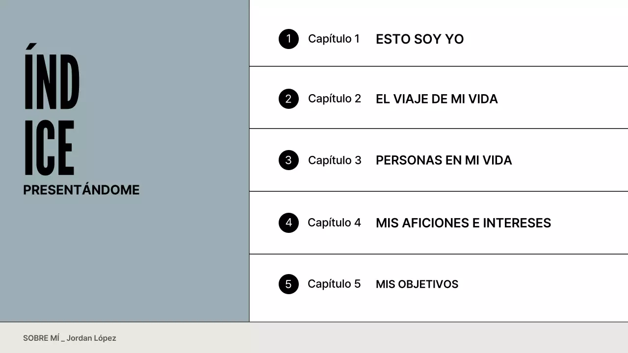 gris azul perfil moderno cartera