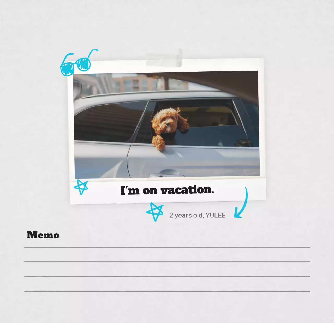 Kalender foto hewan peliharaan putih bersih