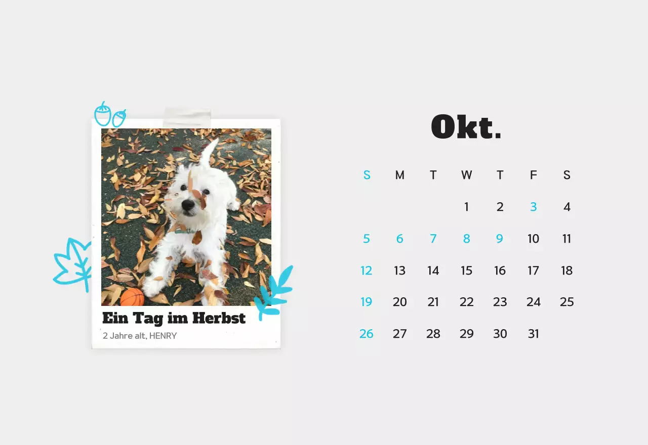 Weißer sauberer Haustier-Fotokalender