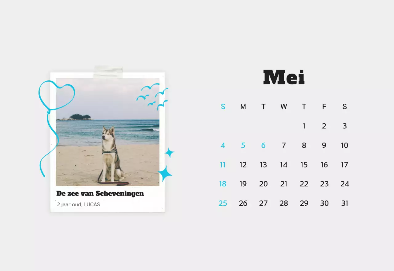 Witte schone fotokalender voor huisdieren