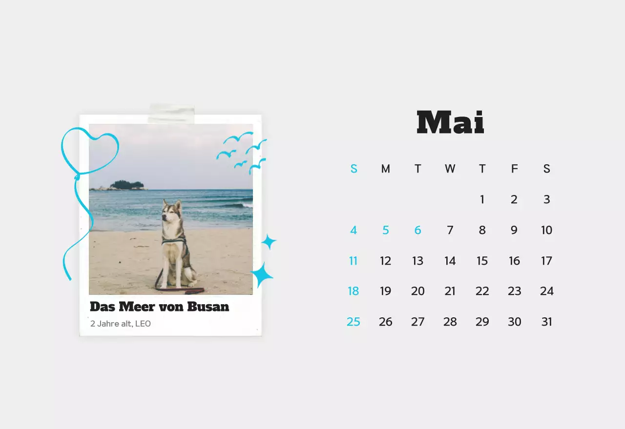 Weißer sauberer Haustier-Fotokalender