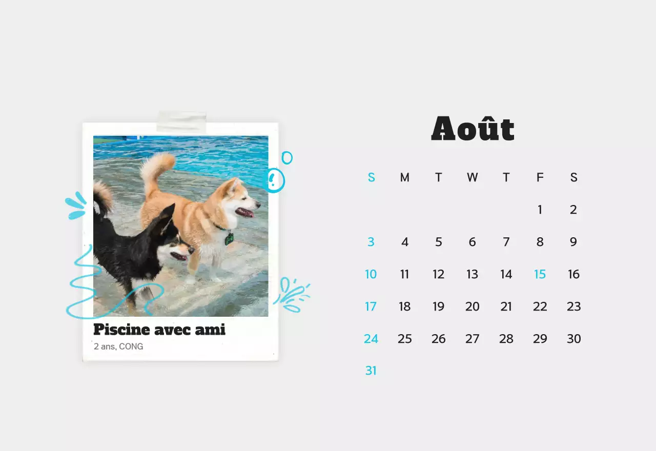 Calendrier photo d'animaux propres et blancs