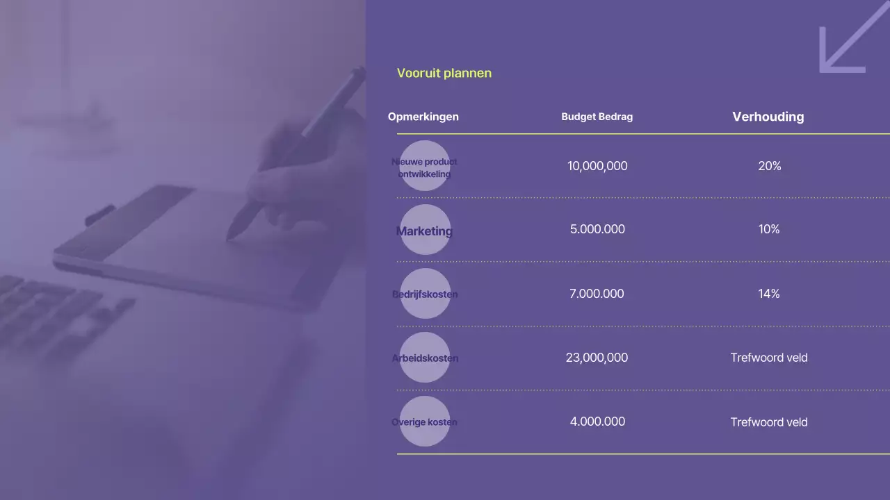 Een ondernemingsplan voor Bora Modern plannen