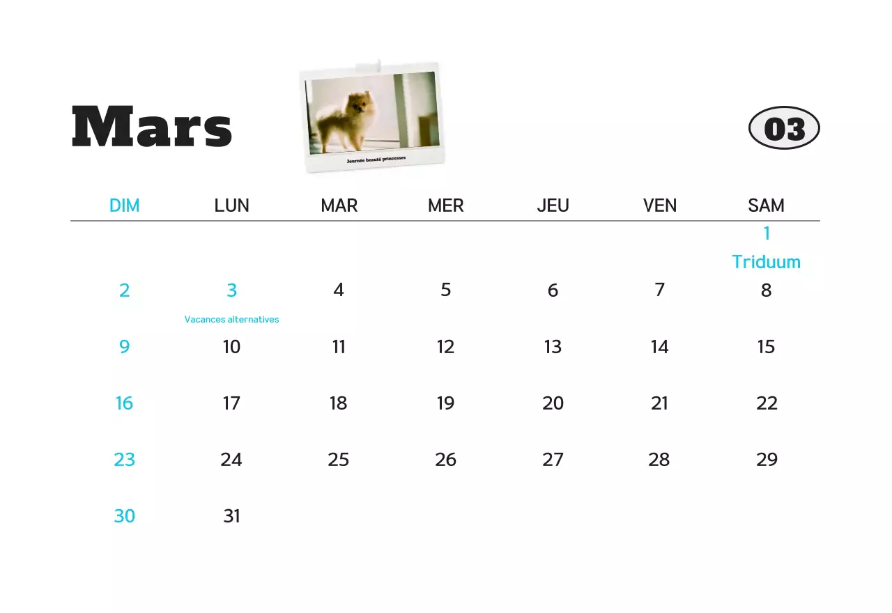 Calendrier photo d'animaux propres et blancs