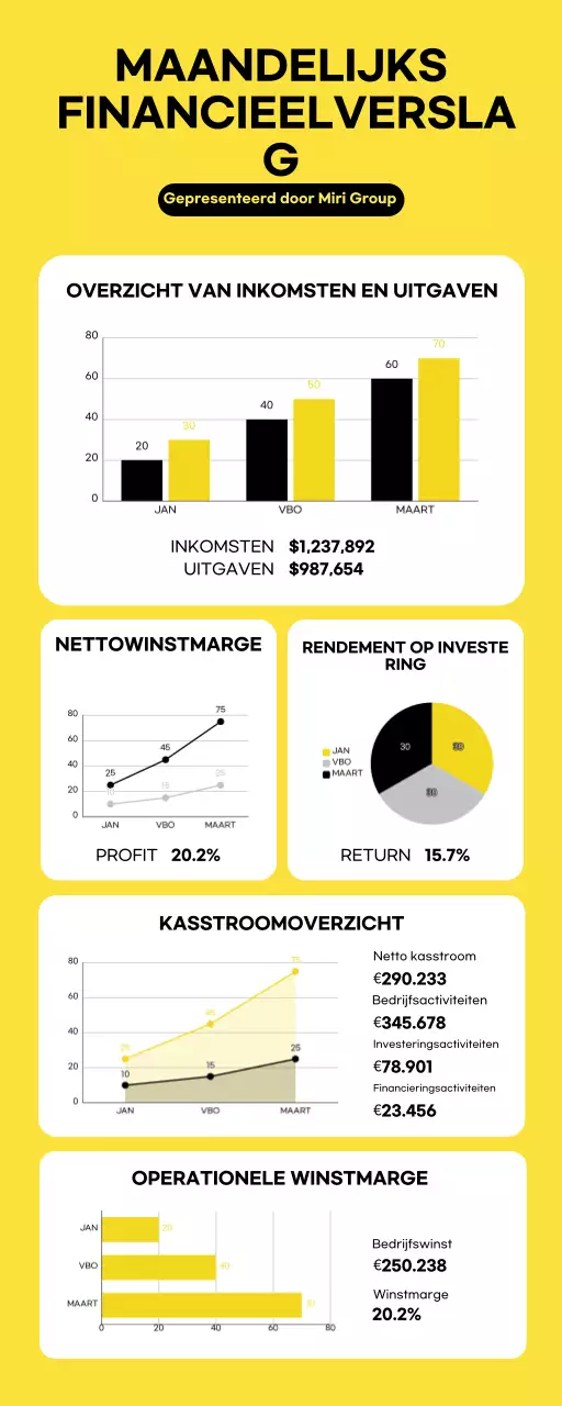 Moderne, minimalistische maandelijkse financiële infografieken