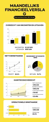 Moderne, minimalistische maandelijkse financiële infografieken