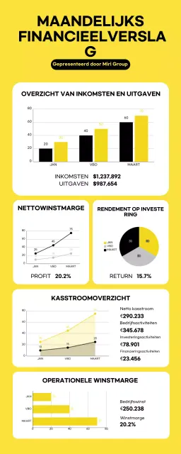 Moderne, minimalistische maandelijkse financiële infografieken