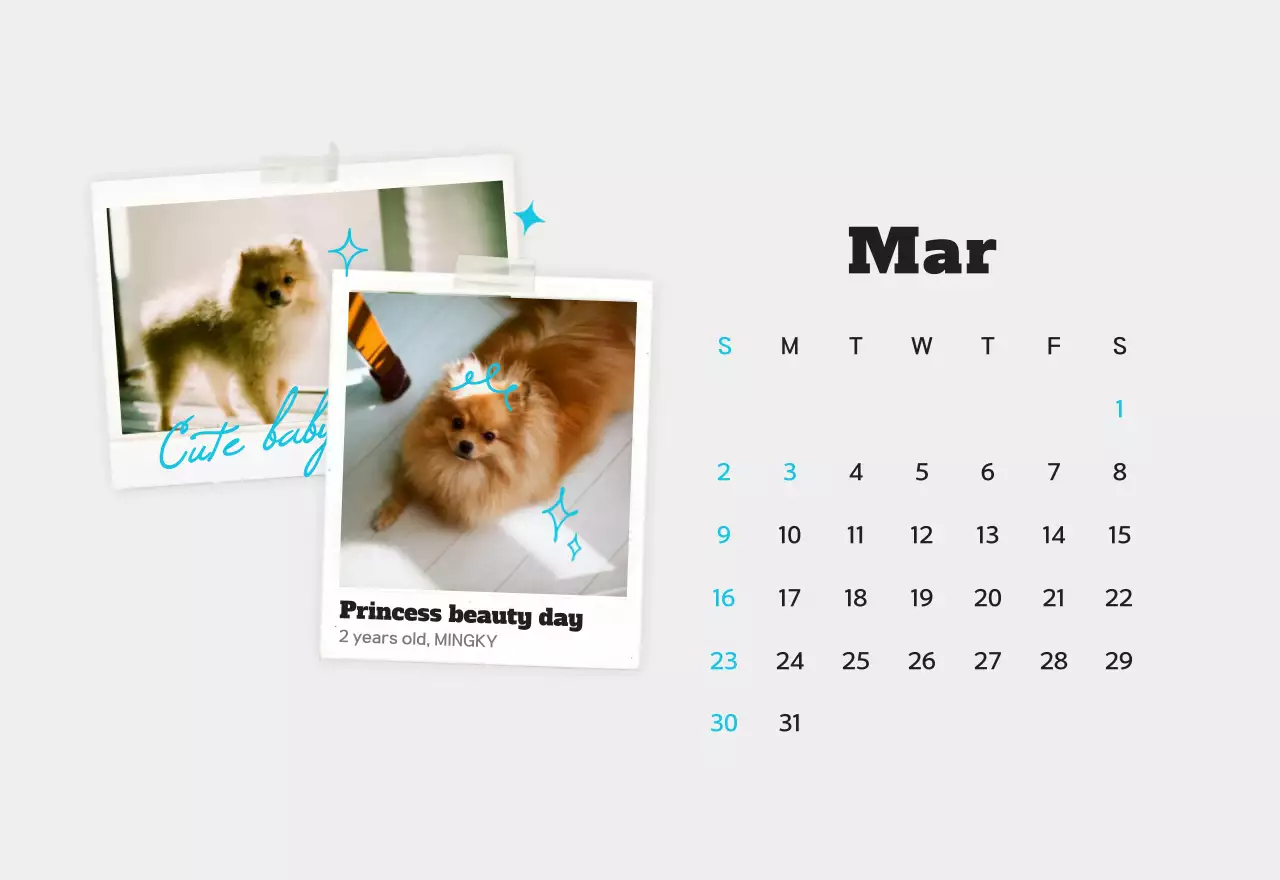Kalender foto hewan peliharaan putih bersih