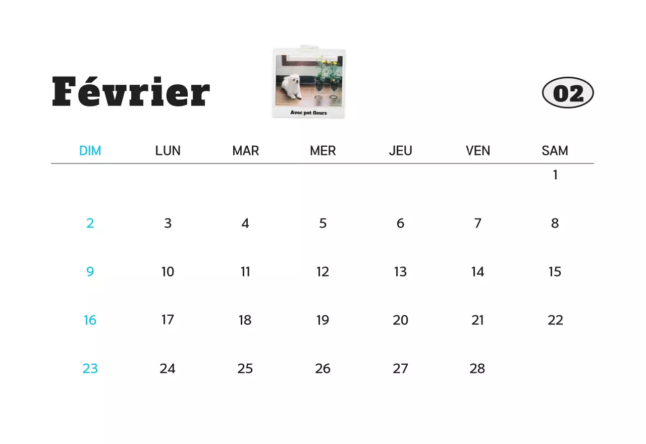 Calendrier photo d'animaux propres et blancs