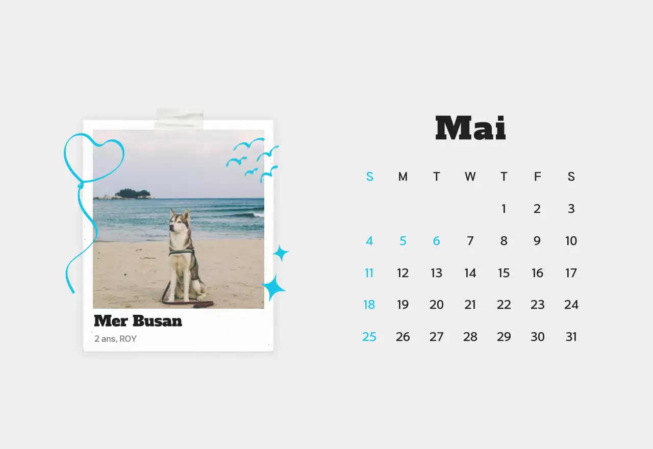 Calendrier photo d'animaux propres et blancs
