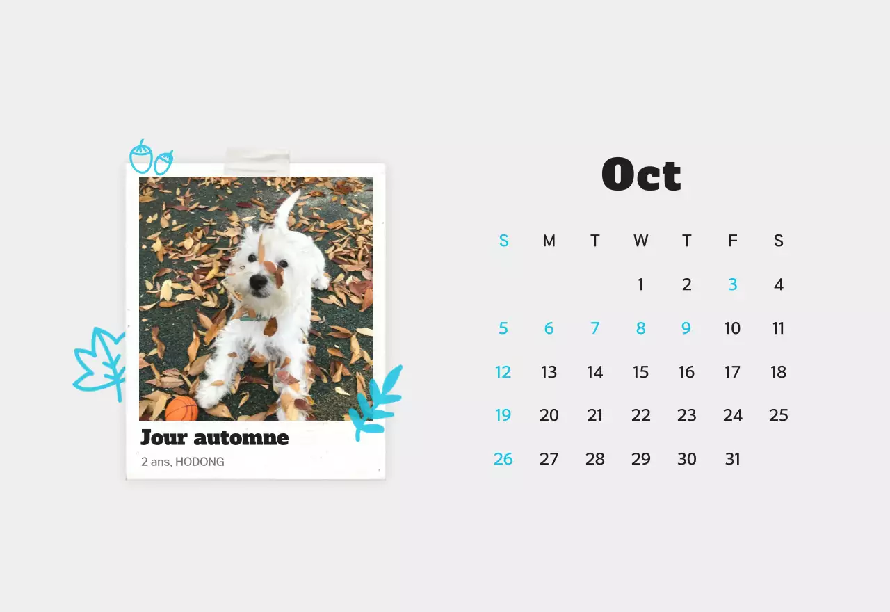 Calendrier photo d'animaux propres et blancs