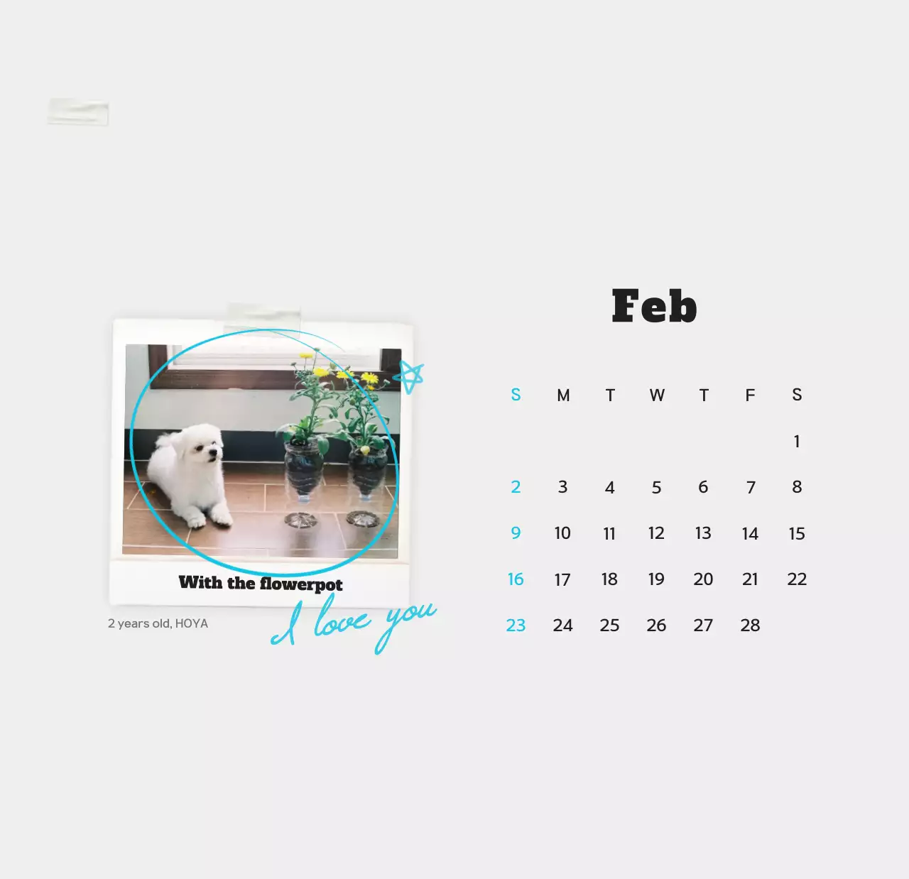 Kalender foto hewan peliharaan putih bersih