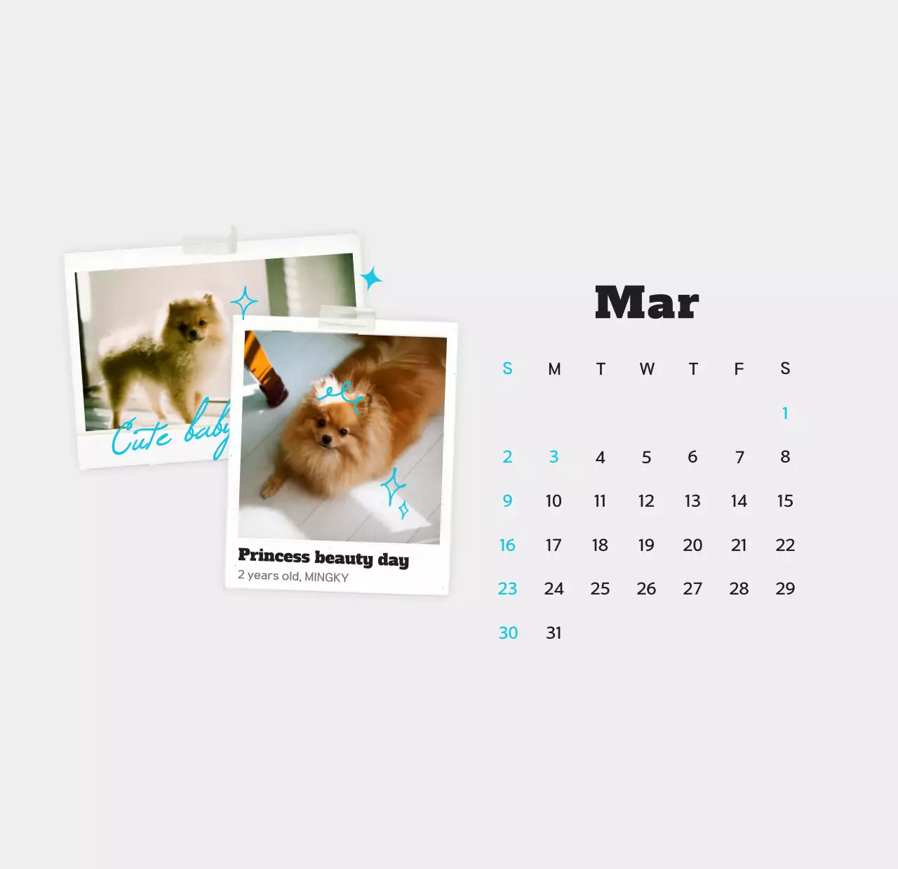 Kalender foto hewan peliharaan putih bersih