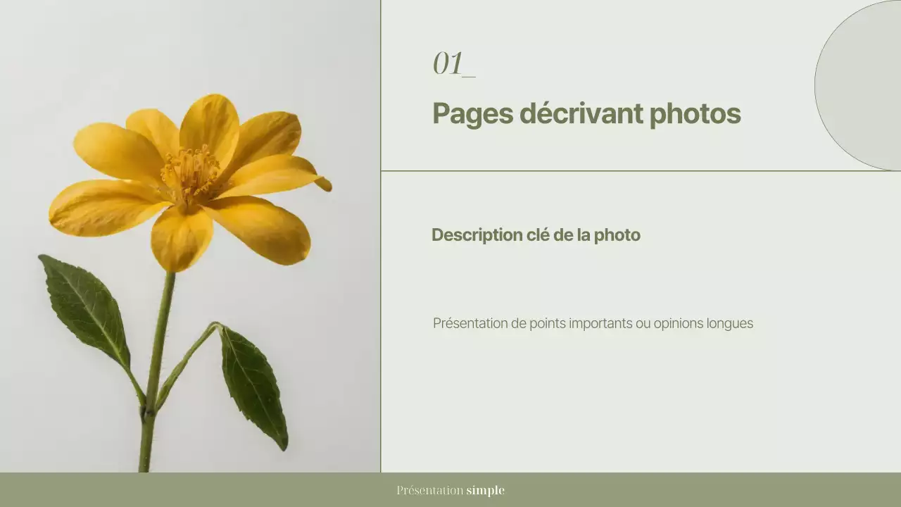 Kaki Simple Presentation Documentation