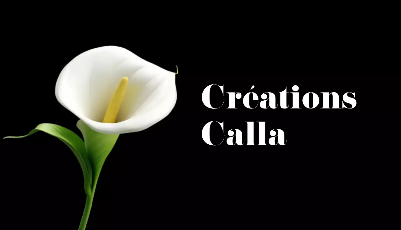 carte de visite blanche et élégante