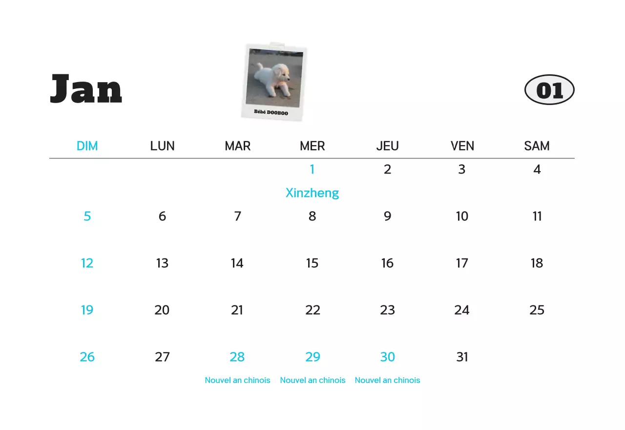Calendrier photo d'animaux propres et blancs