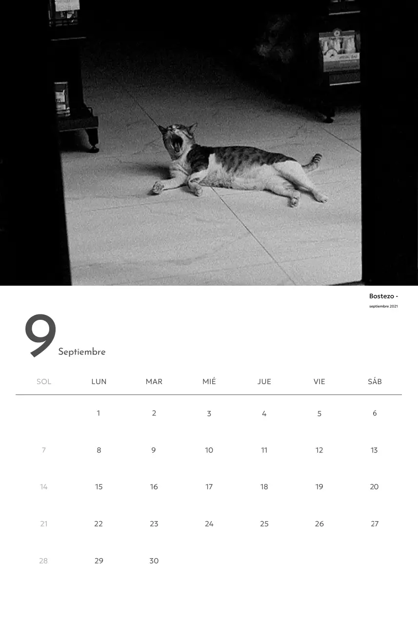 Un calendario fotográfico con un toque limpio y urbano