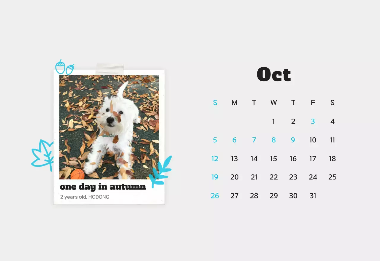 Kalender foto hewan peliharaan putih bersih