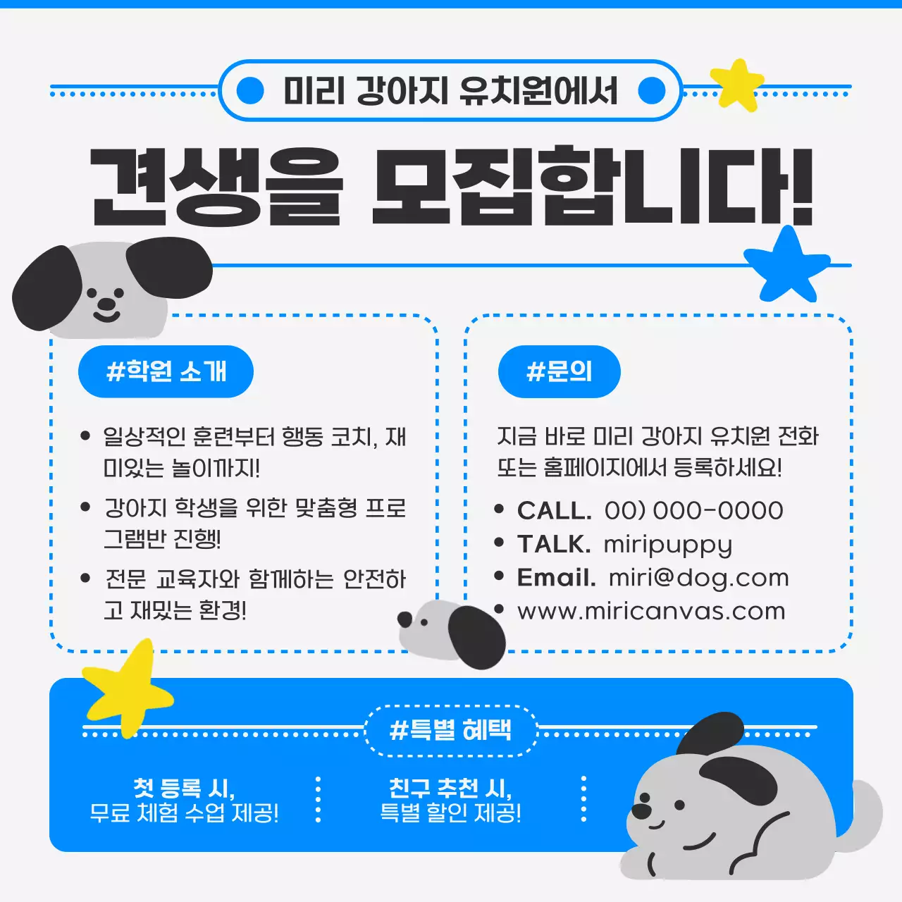 회색 귀여운 반려동물 모집