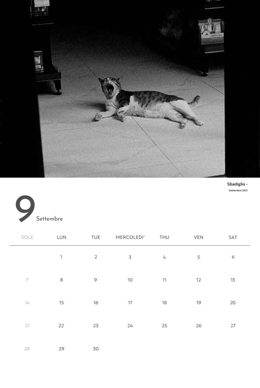 Un calendario fotografico dall'atmosfera pulita e urbana