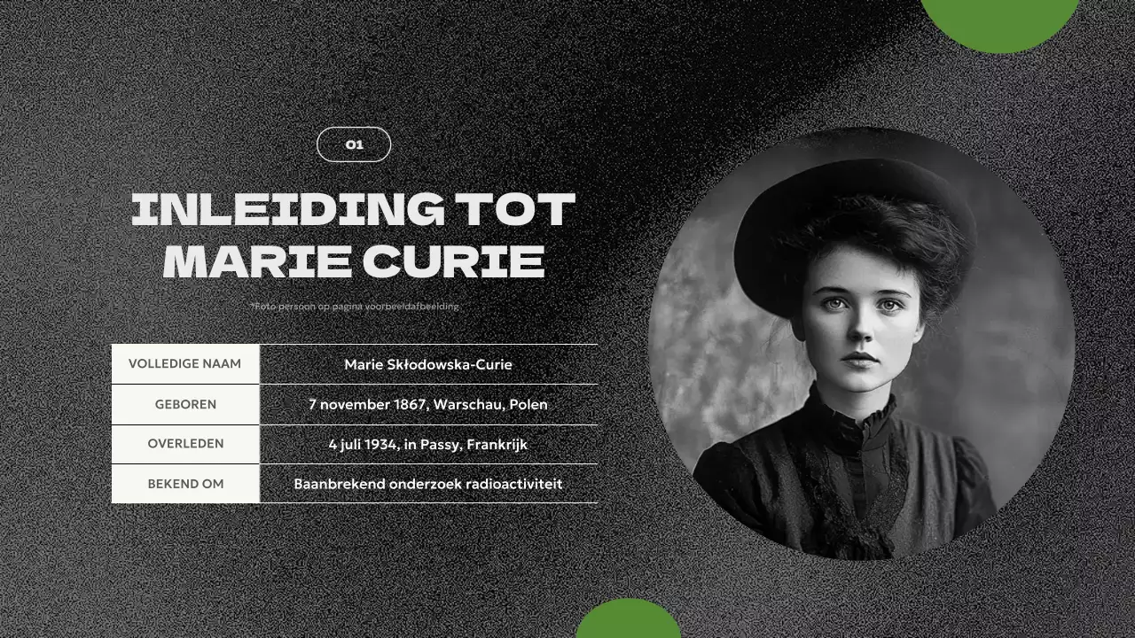 presentatie groene moderne biografie