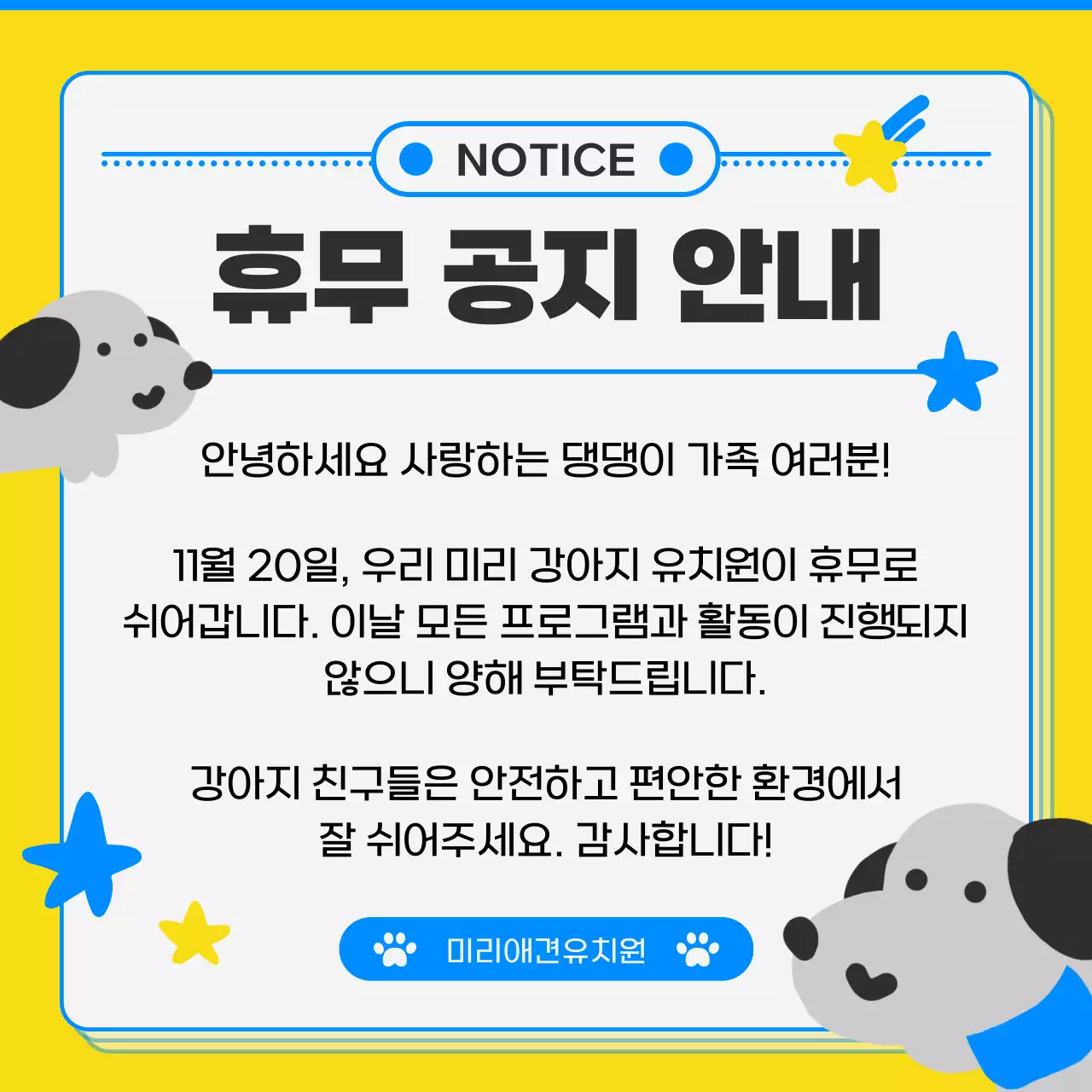 회색 귀여운 반려동물 모집