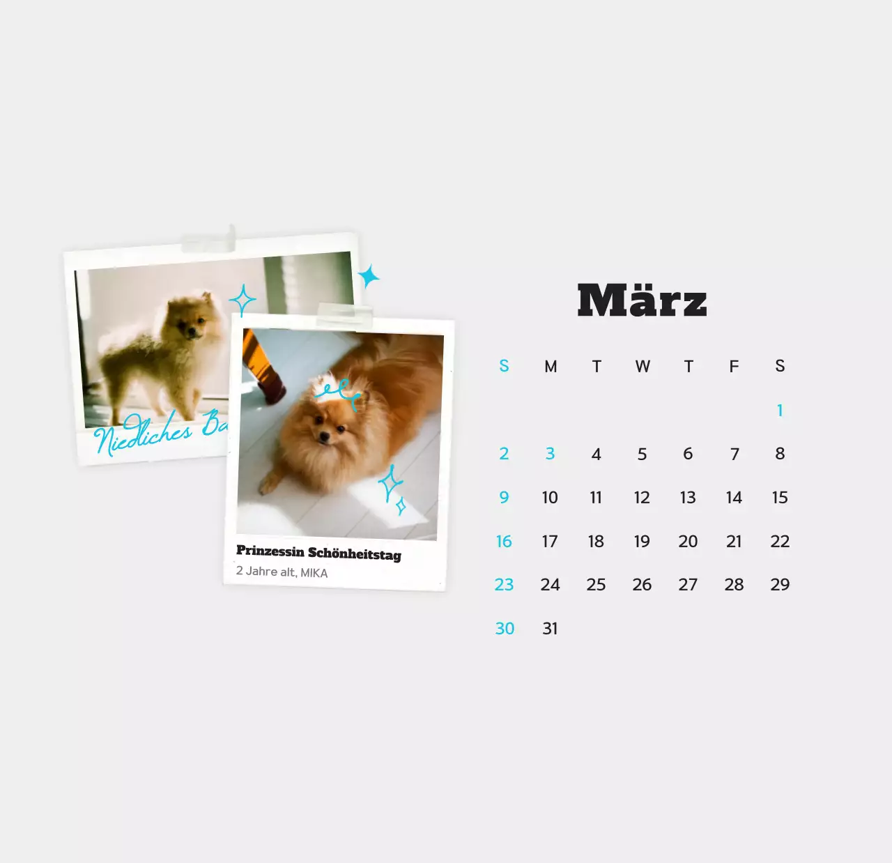 Weißer sauberer Haustier-Fotokalender