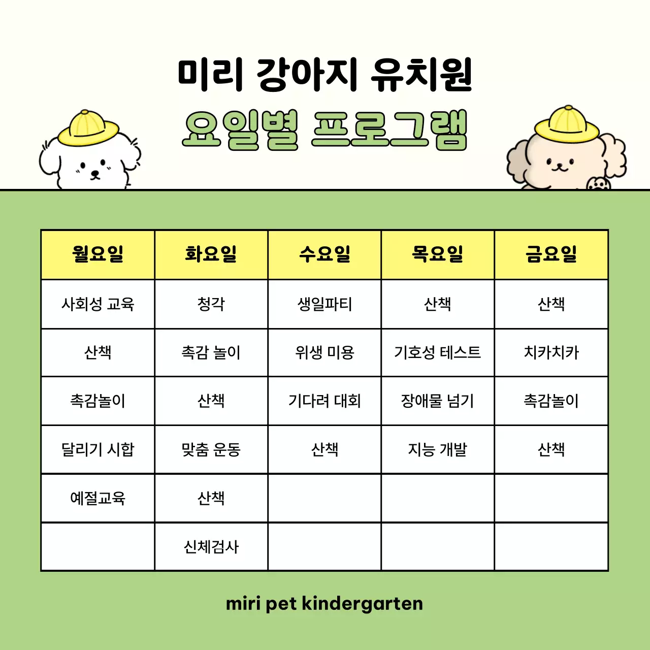 연두색의 아기자기한 반려동물 안내