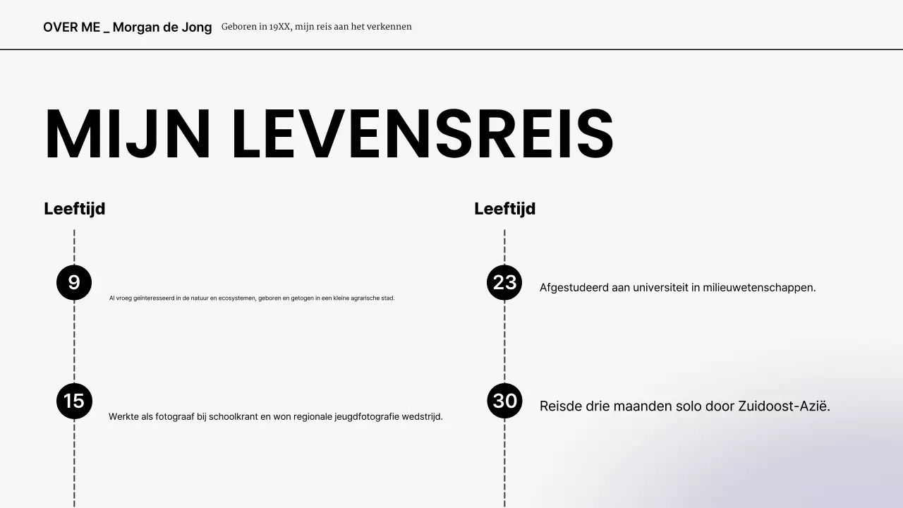 grijs wit modern presentatie portfolio