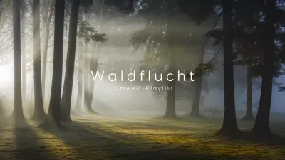 Grüne Natur Musik Playlist