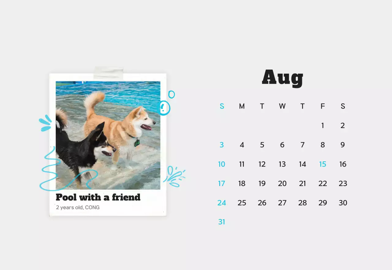 Kalender foto hewan peliharaan putih bersih