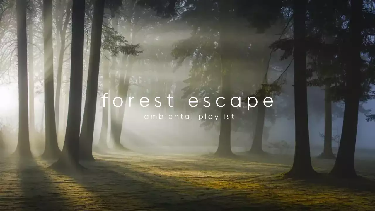 Green Minimal Forest Playlist YouTube Thumbnail