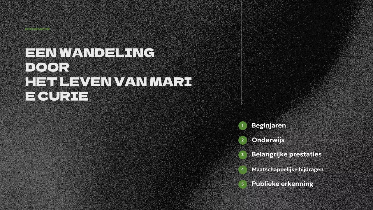 presentatie groene moderne biografie