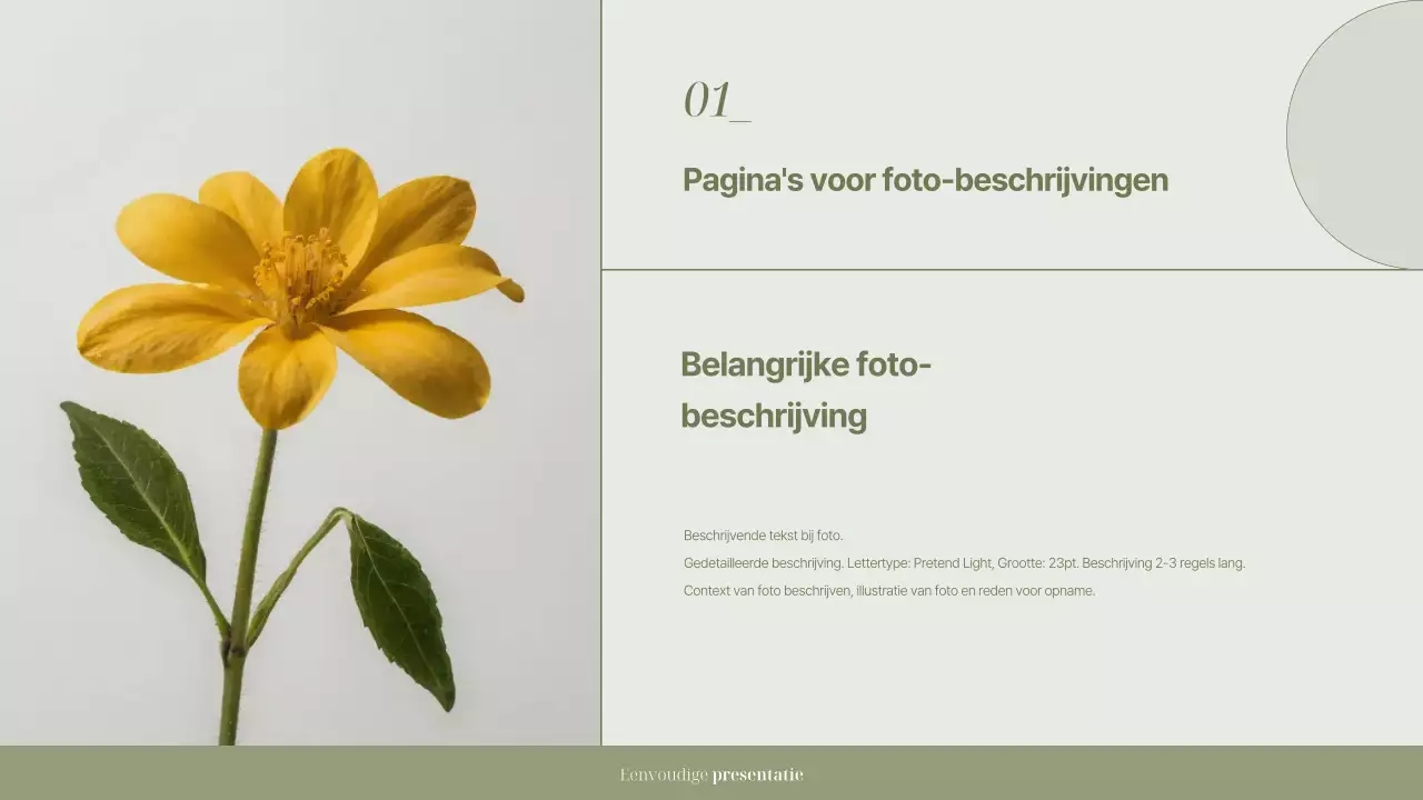 Khaki eenvoudige presentatiedocumentatie