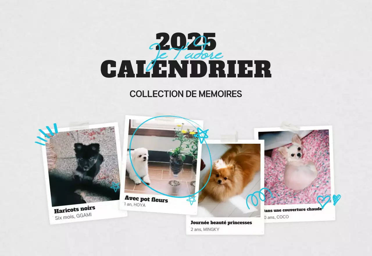 Calendrier photo d'animaux propres et blancs
