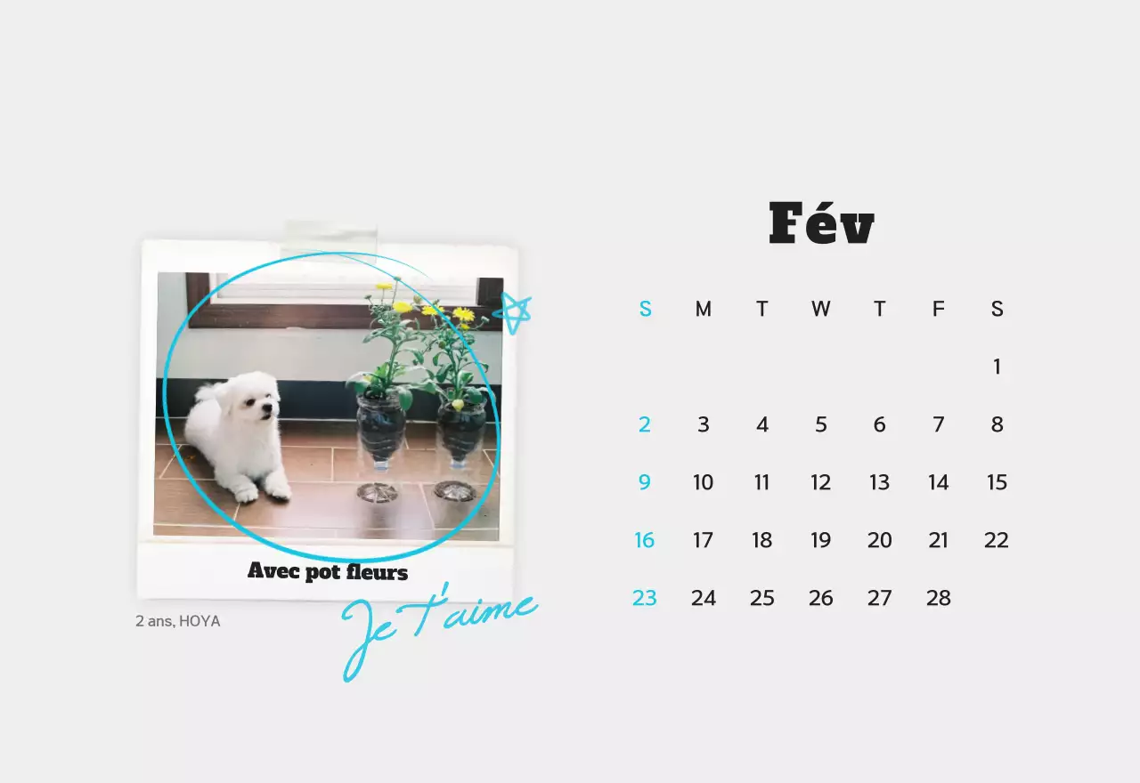 Calendrier photo d'animaux propres et blancs