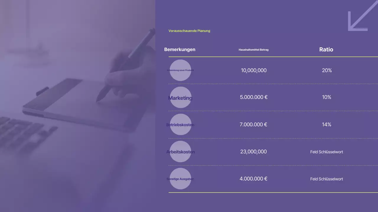 Planung eines Businessplans für Bora Modern