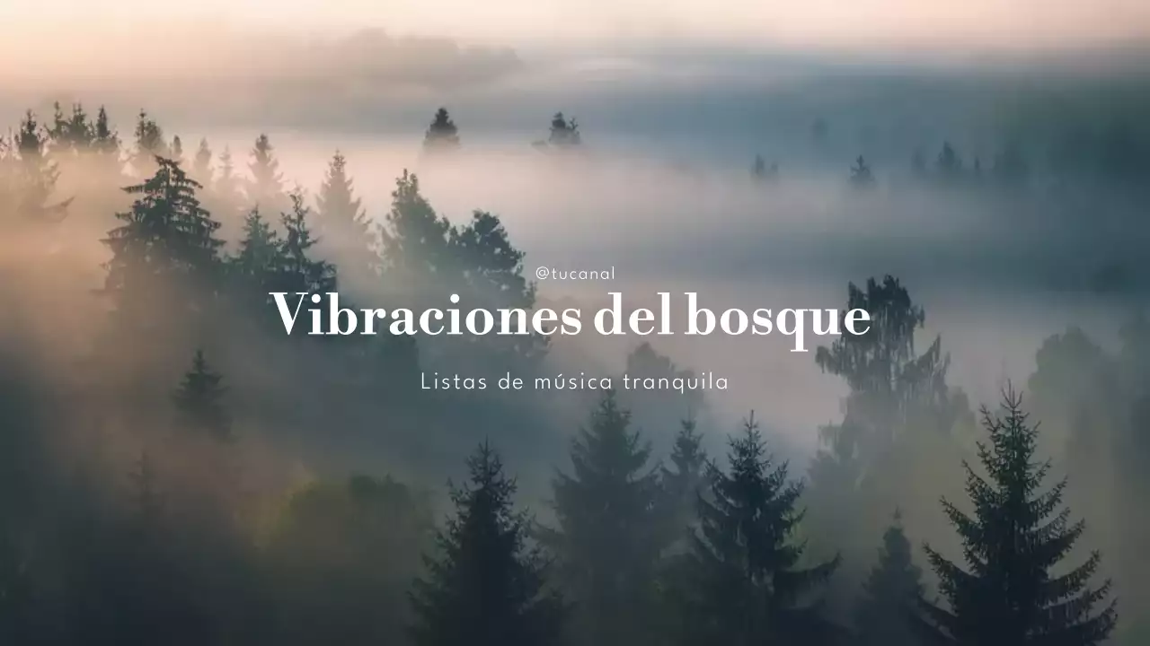 lista de reproducción de música ecológica