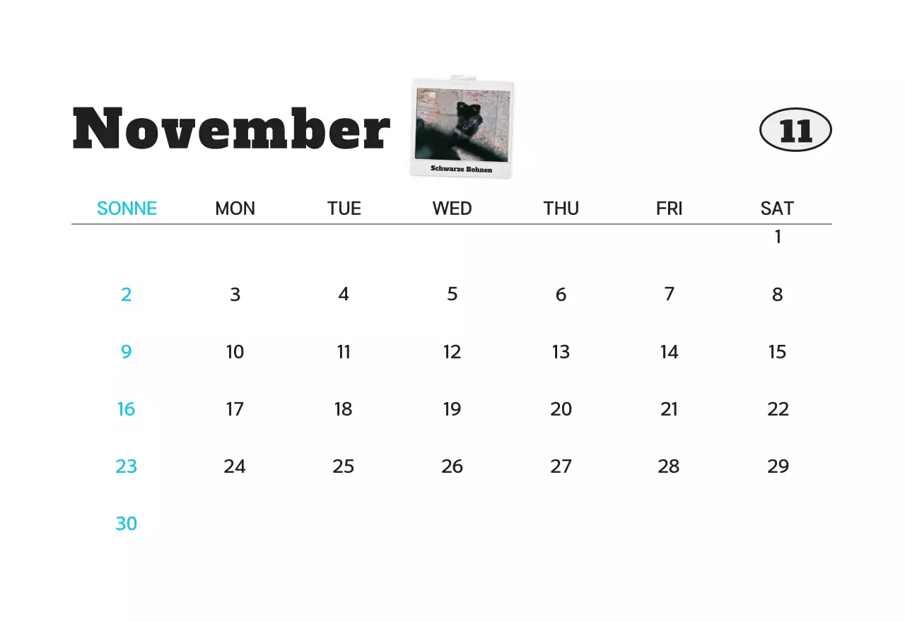 Weißer sauberer Haustier-Fotokalender