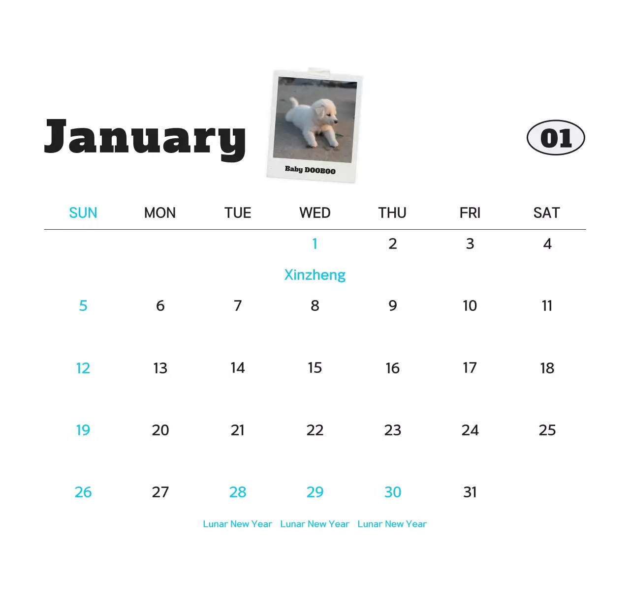 Kalender foto hewan peliharaan putih bersih