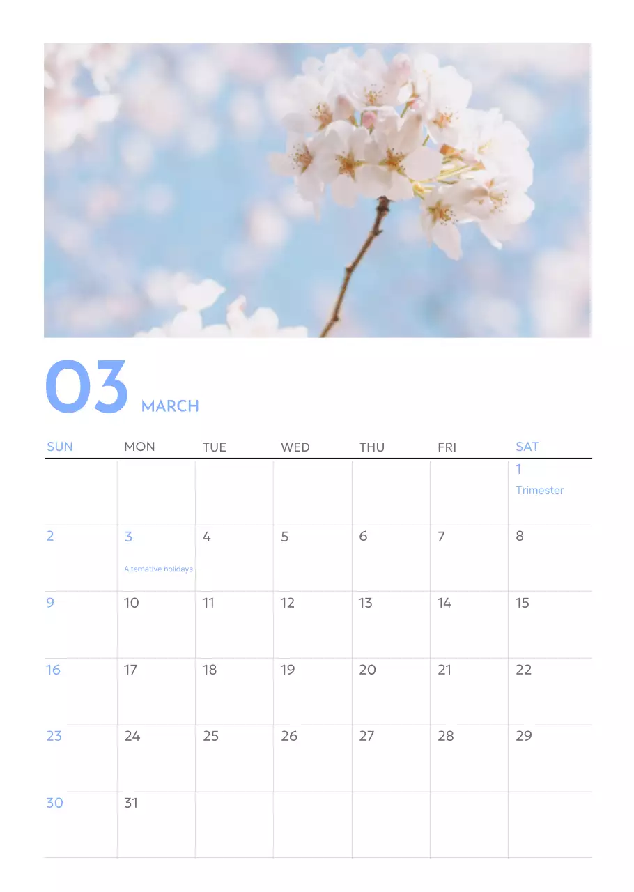 Kalender pelacak sasaran foto dengan percikan warna biru
