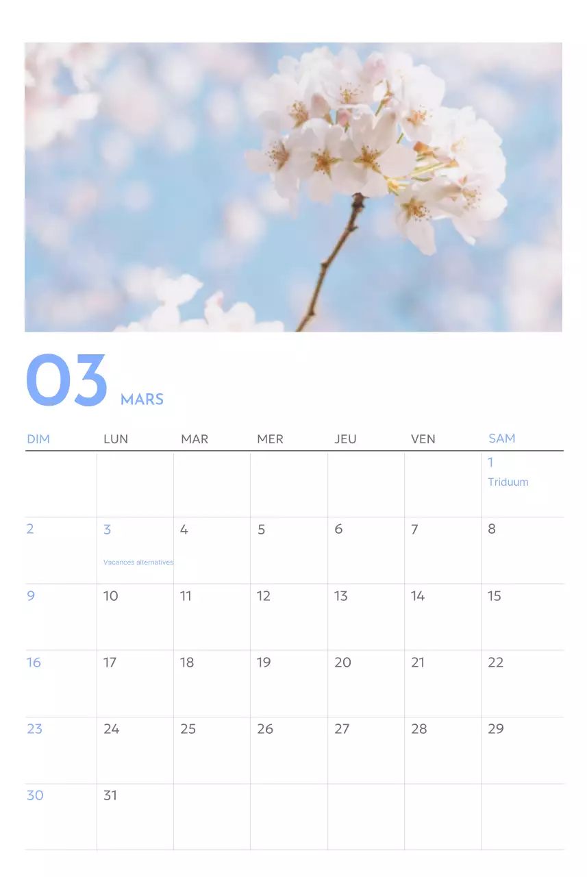 Calendrier photo de suivi des objectifs avec une touche de bleu
